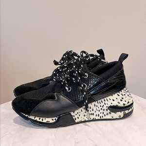 🔥Steve Madden Stylish Black and White Sneakers🔥